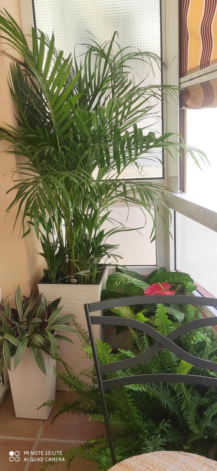 Duplex Fuengirola Centro 3 Dormitorios المظهر الخارجي الصورة